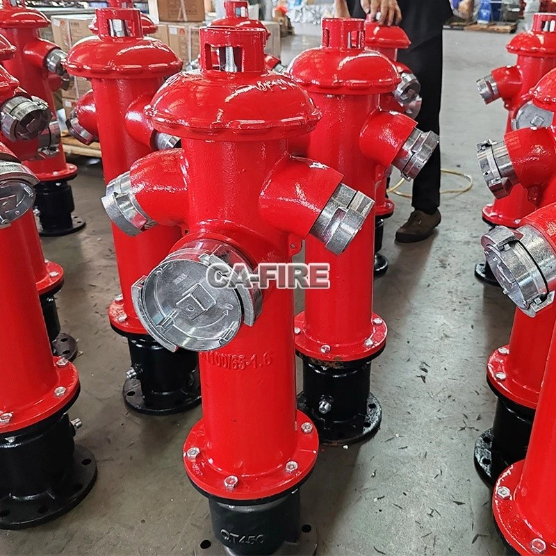 product-800-800